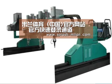产品名称十