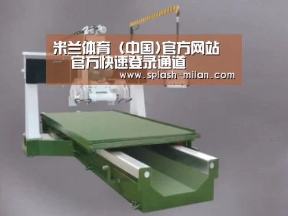 产品名称十