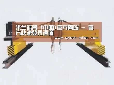 产品名称十七