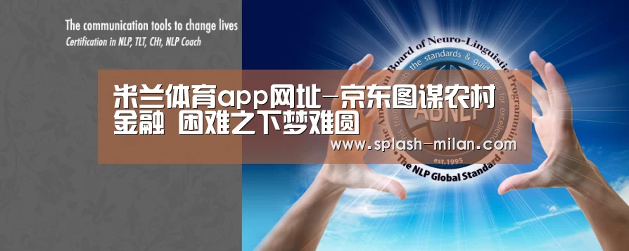 米兰体育app网址-京东图谋农村金融 困难之下梦难圆(图3) 米兰体育app网址