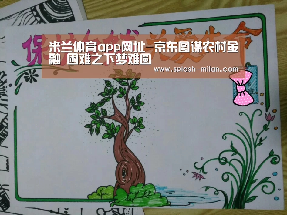 米兰体育app网址-京东图谋农村金融 困难之下梦难圆(图2) 米兰体育app网址