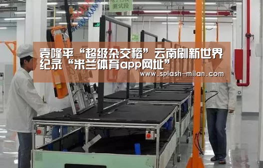 米兰体育app下载安装