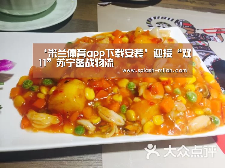 ‘米兰体育app下载安装’迎接“双11”苏宁备战物流(图2) 米兰体育app下载