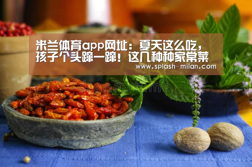 米兰体育app网址:夏天这么吃,孩子个头蹿一蹿!这几种种家常菜比钙片还强10倍(图4) 米兰体育app下载安装