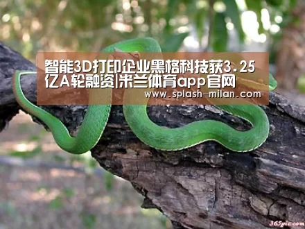 米兰体育app官网