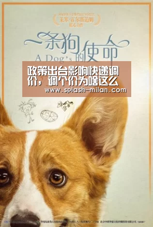 政策出台影响快递调价,调个价为啥这么难?【米兰体育app网址】(图1) 米兰体育app官网