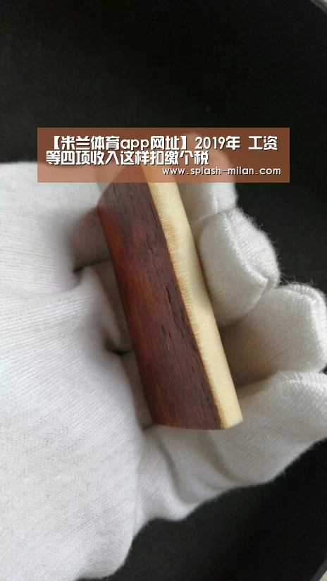【米兰体育app网址】2019年 工资等四项收入这样扣缴个税(图1) 米兰体育app网址