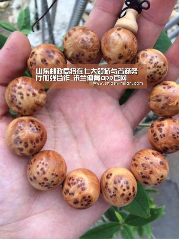 山东邮政局将在七大领域与省商务厅加强合作_米兰体育app官网(图2) 米兰体育app下载