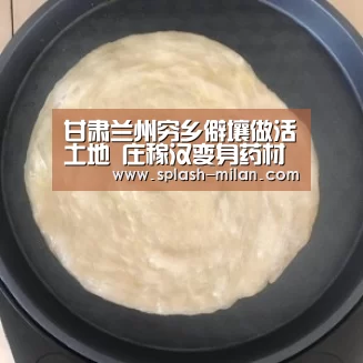 甘肃兰州穷乡僻壤做活土地 庄稼汉变身药材农民【米兰体育app下载安装】(图2) 米兰体育app下载安装